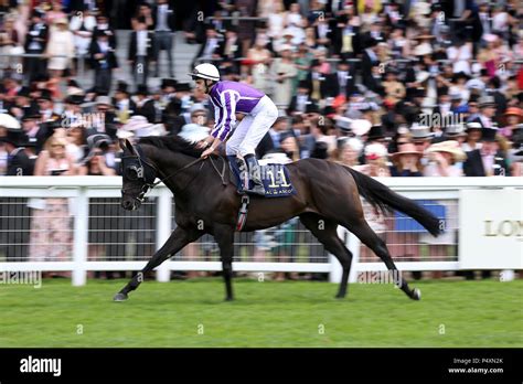 diamond jubilee stakes|Merchant Navy wins Ascot: Diamond Jubilee Stakes .